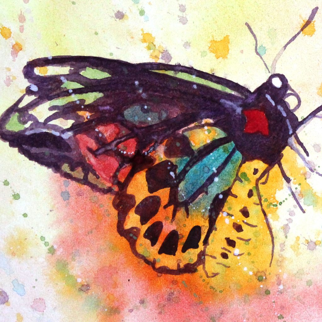 Butterfly watercolour